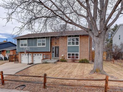 6245 Saulsbury Street, Arvada, CO, 80003