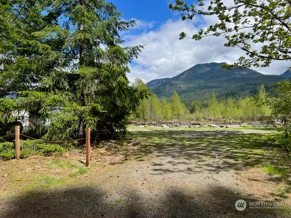 176 Mountain View Drive, Packwood, WA 98361