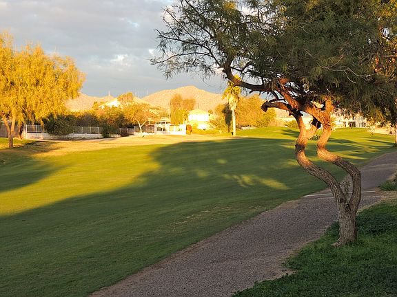 Back Fence Looking East