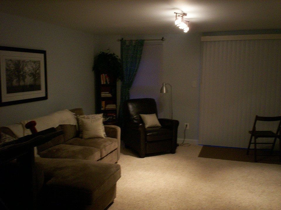 Finished Walkout Basement