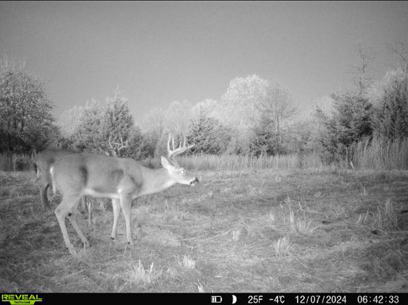 Red Bud Rd, Sturkie, AR 72578