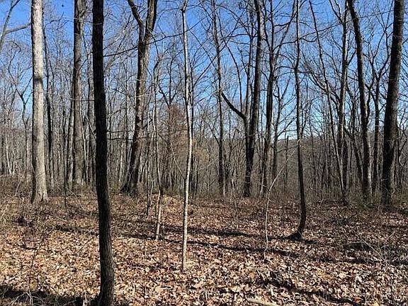 2nd image of 71 Sunbeam Lake Loop Lot 7.1