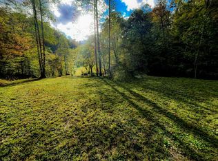 0 Lower Twin Br, Hagerhill, KY 41222