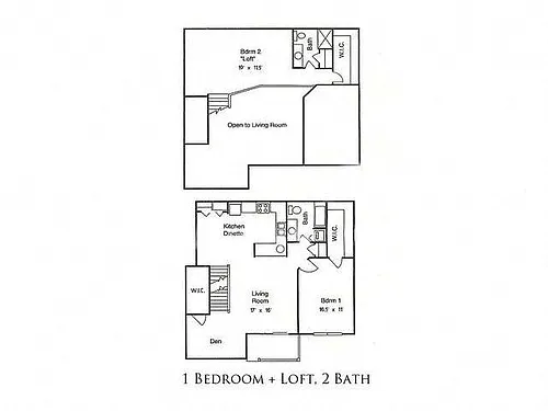 Floor plan 1 Bedroom + Loft + Den