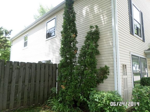 2nd image of 1181 E Candlenut Ln #230B