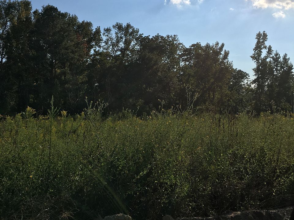 2nd image of 1658 Pipeline Rd