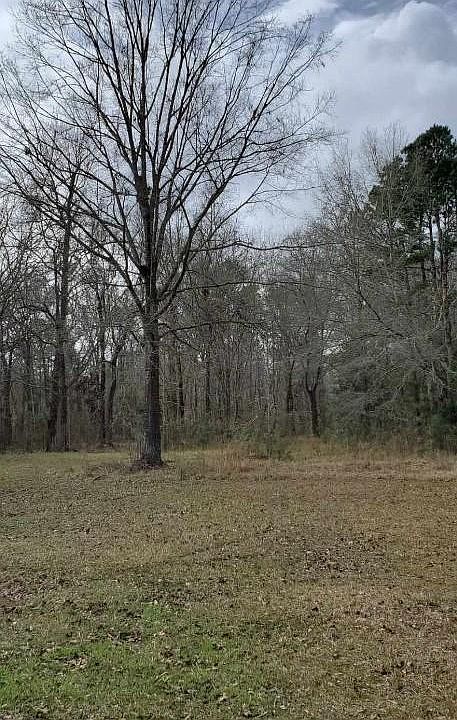 2nd image of 234 Barons Rd