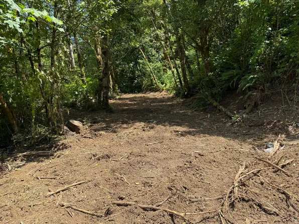 Tl 2100 Wilson River Hwy, Tillamook, OR 97141