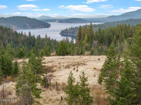 Nna Gotham Bay Rd, Harrison, ID 83833