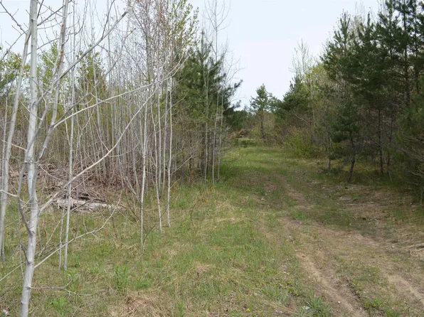 Spencer Rd SE Lot 18&19, Kalkaska, MI 49646