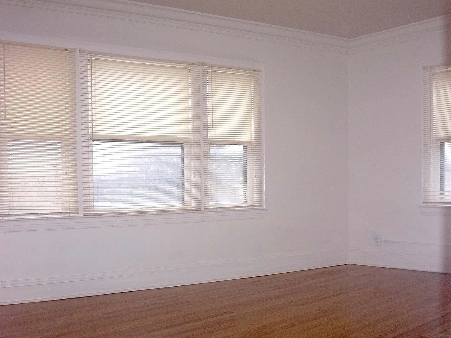1 bed, $850 — Photo 2
