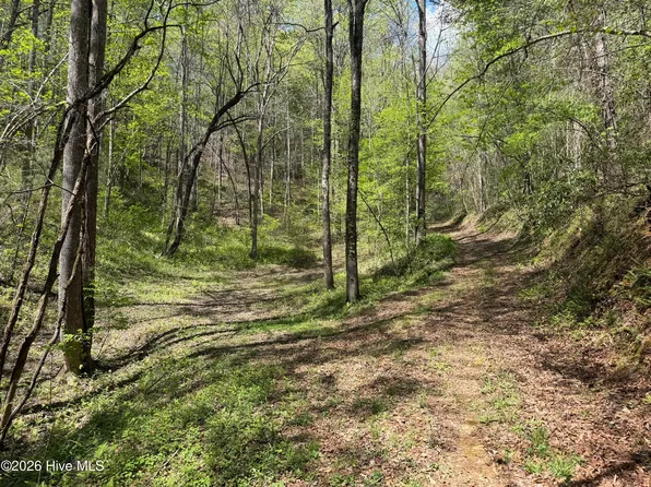 17.96 Lower Vengeance Creek Road, Marble, NC 28905