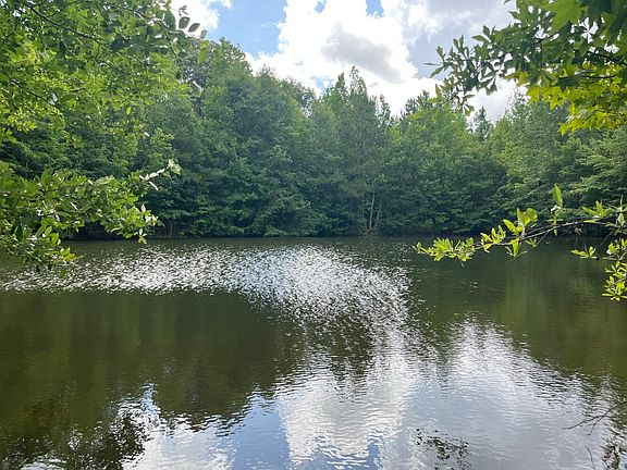 2nd image of 565 County Road 361