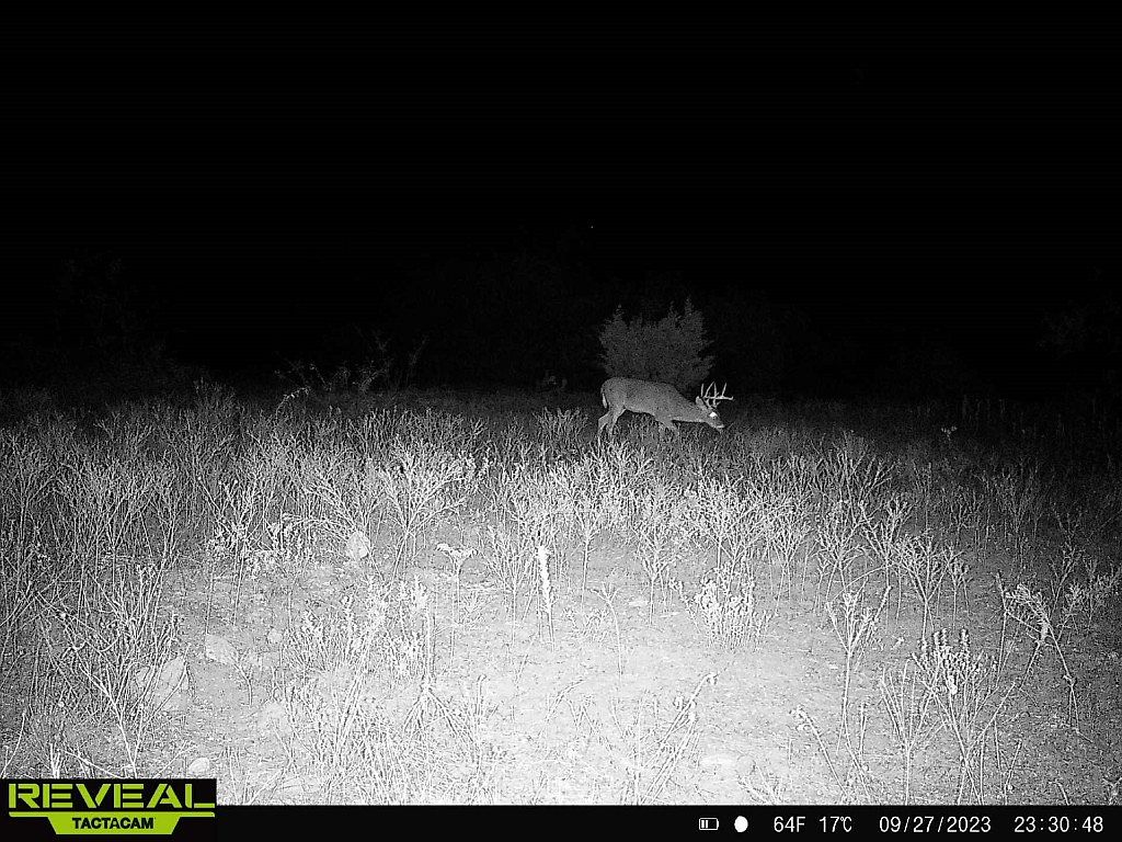 0 Private Road 2902, Hamilton, TX 76531 MLS 20427851 Zillow