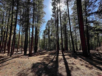 99 Pine Cone Circle, Bayfield, CO, 81122