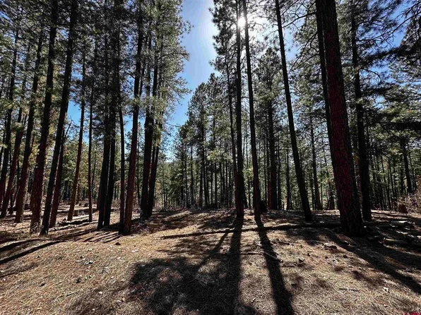 99 Pine Cone Circle, Bayfield, CO 81122