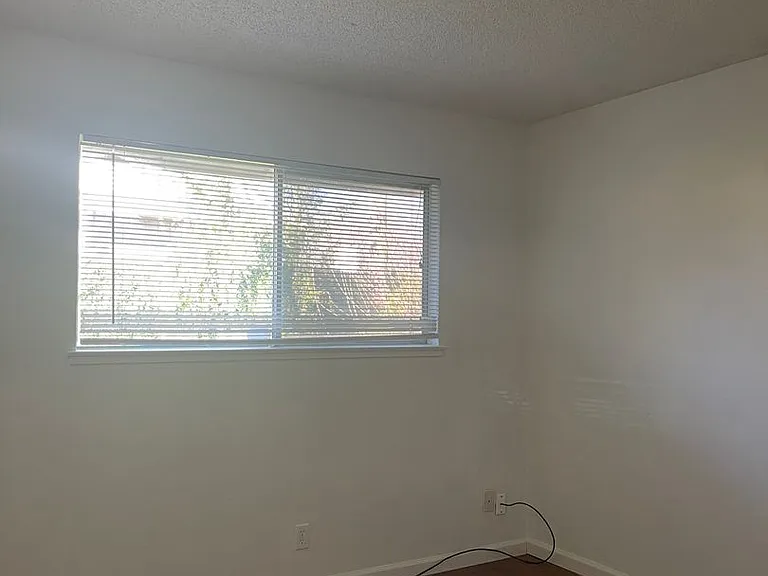 579 Fir St — Photo 14