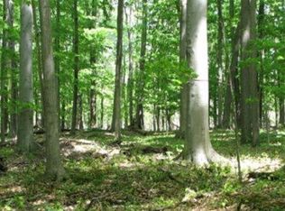 355 Townley Hill Rd LOT 42, Horseheads, NY 14845