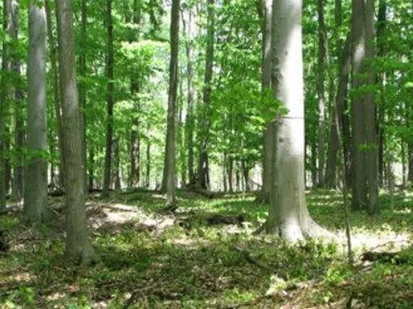 355 Townley Hill Rd Lot 42, Horseheads, NY 14845