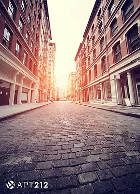 Rented by APT212 INC | media 28