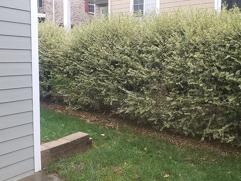 1735 Whirlaway Ct — Photo 17