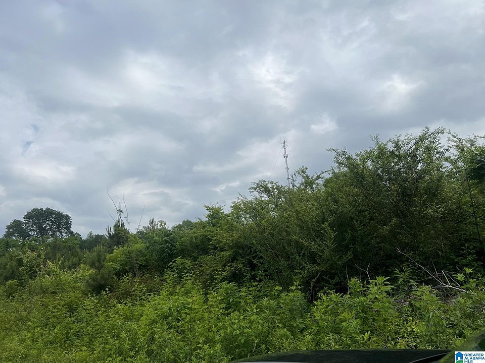 1st image of Chandler Mountain Rd #0