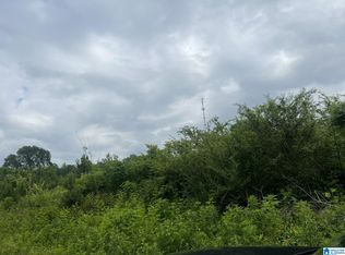 Chandler Mountain Rd #0, Steele, AL 35987