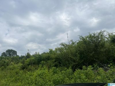 Chandler Mountain Rd #0, Steele, AL, 35987