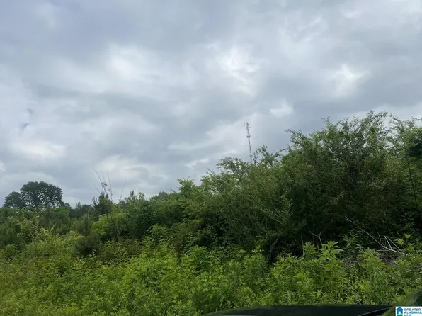 Chandler Mountain Rd #0, Steele, AL 35987