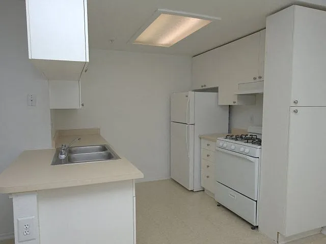 VIZCAYA APARTMENTS — Photo 11