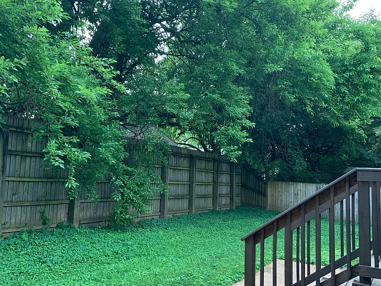 Backyard is fully fenced