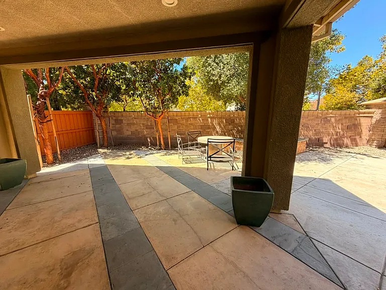 Back Yard