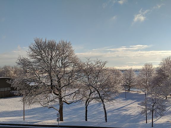 Winter View