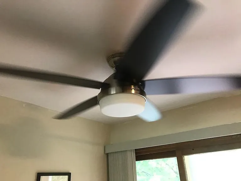 Ceiling fan