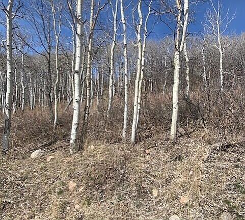 4th image of 2604 S Forest Meadow Rd