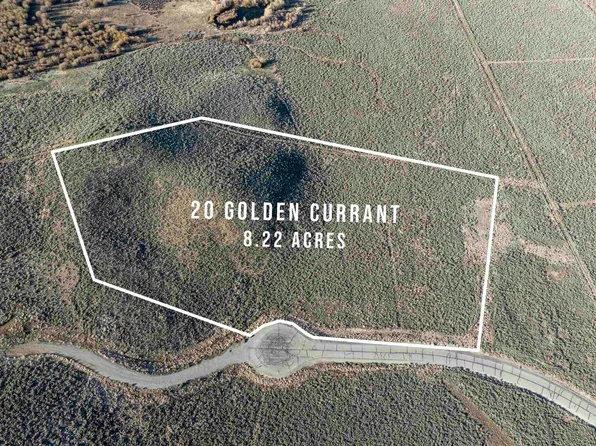 20 Golden Currant Dr, Hailey, ID 83333