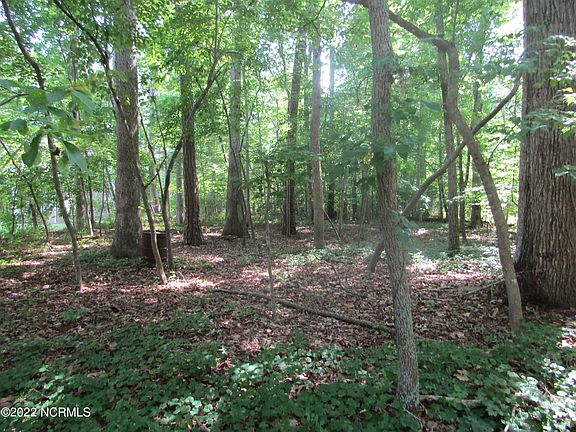 2nd image of 31 Hill Creek Road