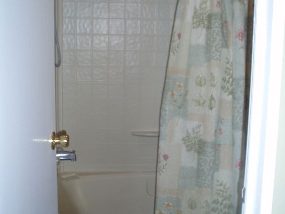 Master Bath with Garden Tub