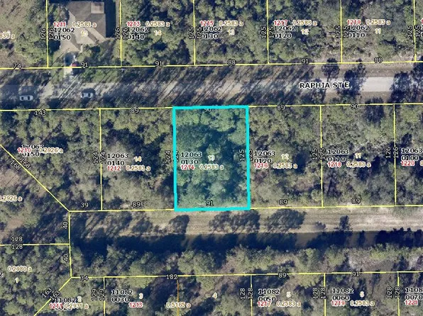 1214 Raphia Street E, Lehigh Acres, FL 33974