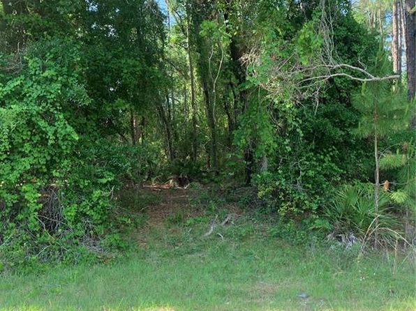 106 Spanish Trl LOT 9, Georgetown, FL 32139