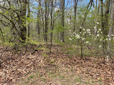 210 Stardust Way, Cloverdale, IN, 46120