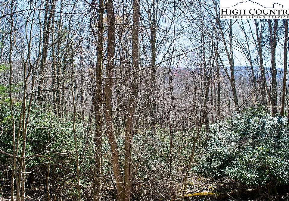 2nd image of 147 Rhododendron Dr