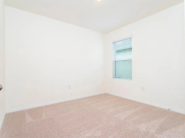 2847 Common Crane Ct — Photo 13