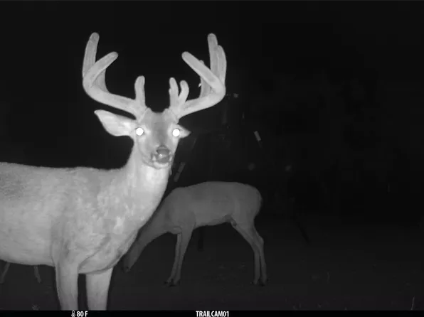 1078 County Road 498, Goldsboro, TX 79519