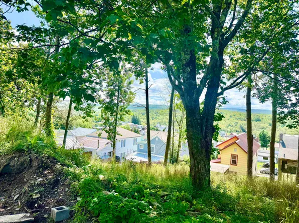 5 Groundhog Aly, Davis, WV 26260