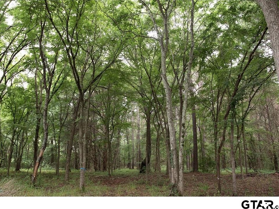 1st image of 253 County Road 4123