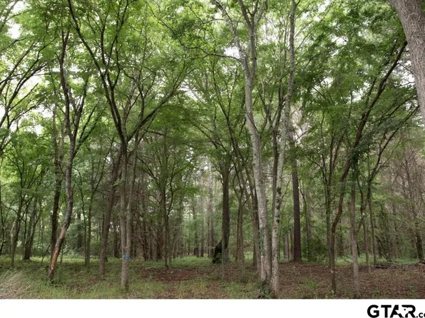 253 County Road 4123, Jacksonville, TX 75766
