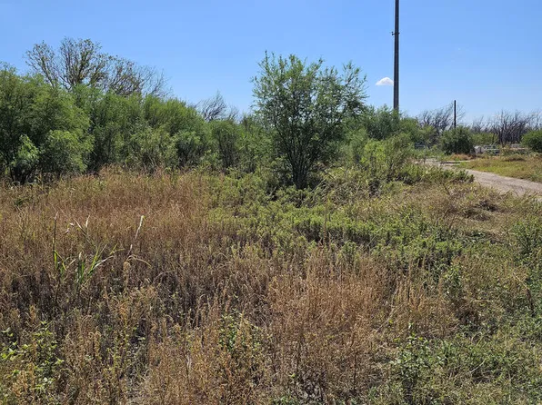 508 E. AMISTAD AVE LOT N-A, Quemado, TX 78877