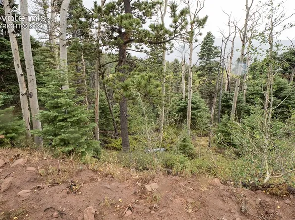 LOT 2825 Moir Dr, Fort Garland, CO 81133