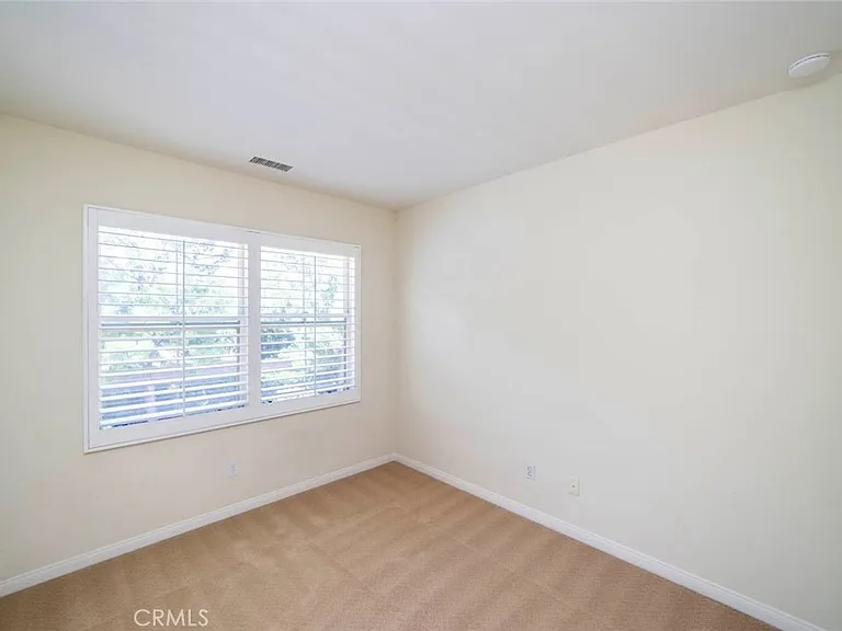 33 Bromeliad — Photo 20